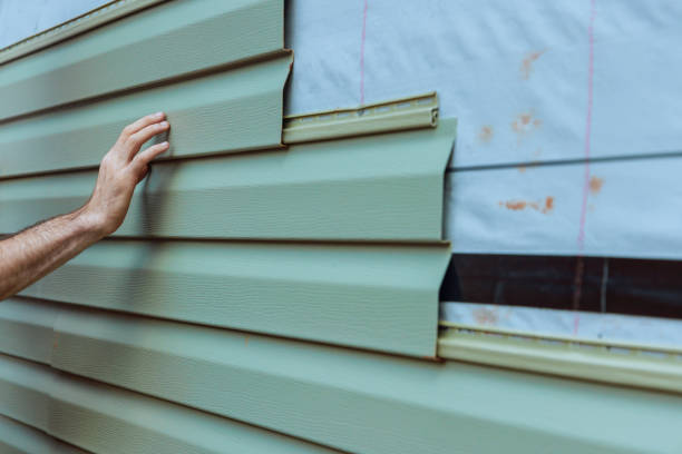Best Aluminum Siding Installation  in Remerton, GA